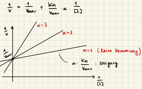 Lineweaver-Burk Alpha Bild