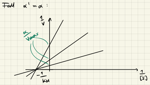 Lineweaver-Burk Alpha Bild