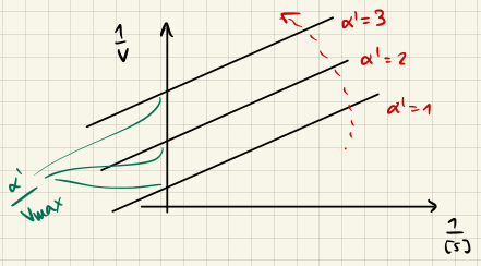 Lineweaver-Burk Alpha Bild